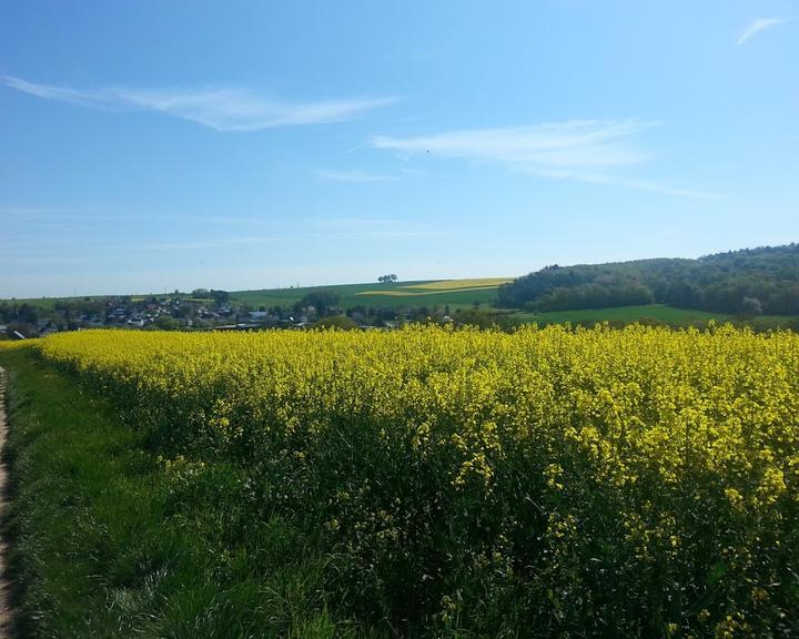 Landhaus Vor Burg Eltz